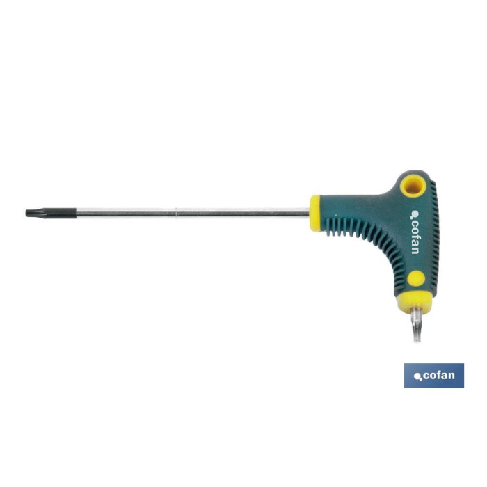DESTORNILLADOR EN "T" DRIVER TORX 10X100