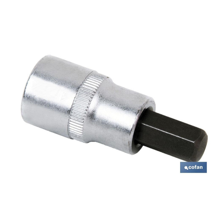 LLAVE DE VASO PUNTA HEXAGONAL 1/4" CON PUNTA H-4