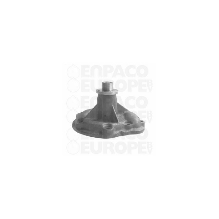 BOMBA AGUA Case I.H. REF. 101100005