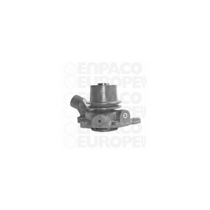 BOMBA AGUA CON POLEA David Brown REF. 101140001