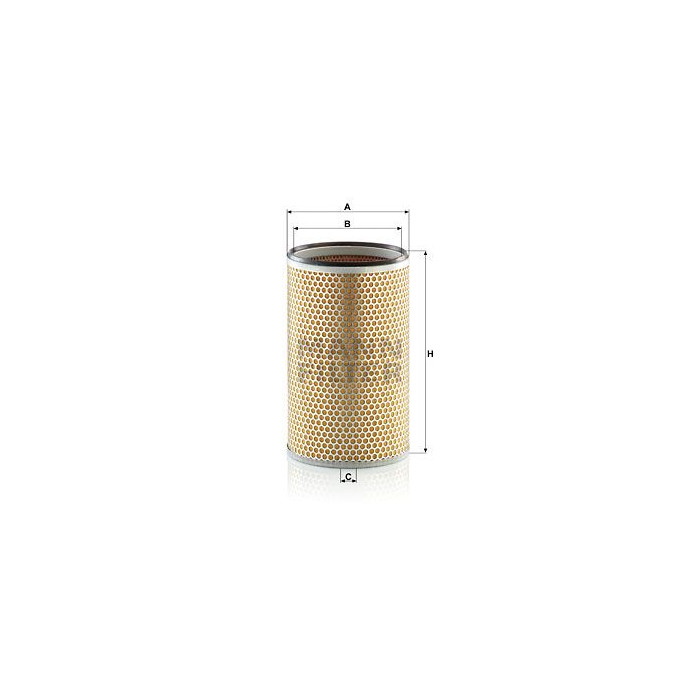 FILTRO AIRE MANN C 20 118