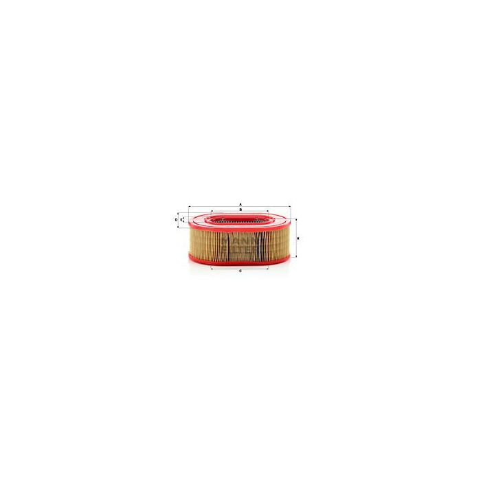 FILTRO AIRE MANN C 25 124