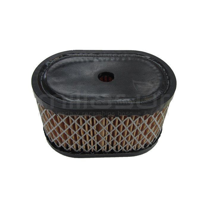 FILTRO AIRE BRIGGS & STRATTON EUROPA OHV VERTICAL Y QUANTUM 5HP
