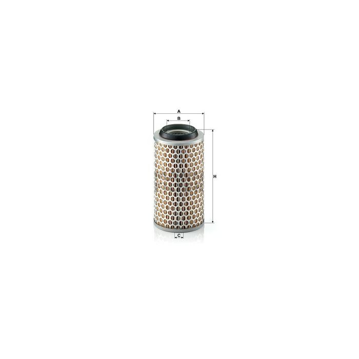 FILTRO DE AIRE MANN C 1043/1