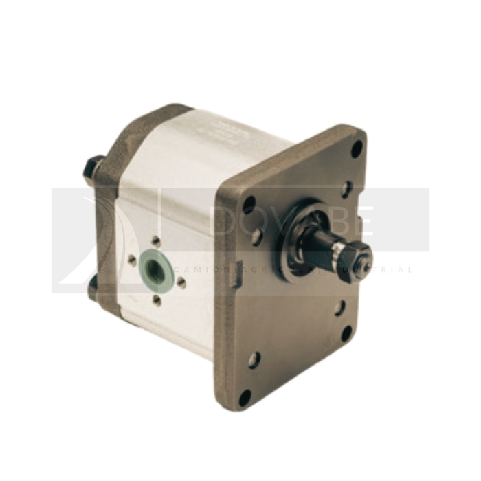 Bomba de Engranajes Giro DCH. 23,3 cm3 Eje Estriado 9D Roquet 1L35DG09T-S1