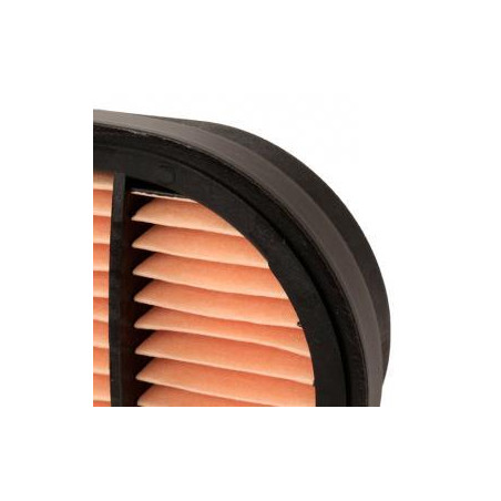 FILTRO DE AIRE COMPLEMENTARIO MANN CF 30 100